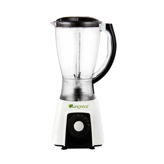 OwnGreat 2-in-1 Blender